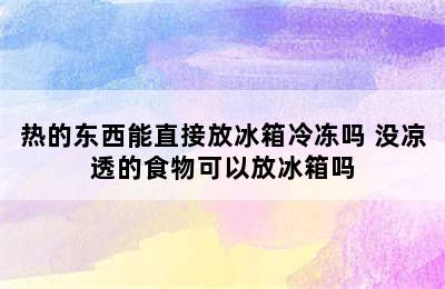 热的东西能直接放冰箱冷冻吗 没凉透的食物可以放冰箱吗